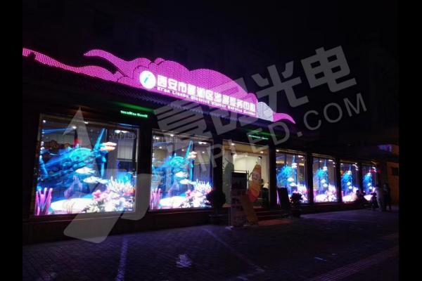 櫥窗 | 未來已來，商業(yè)櫥窗標(biāo)配@自由新流媒